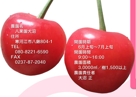 さくらんぼ農園八果園大沼