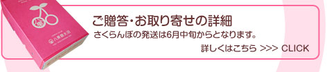 さくらんぼお取り寄せ・ご贈答