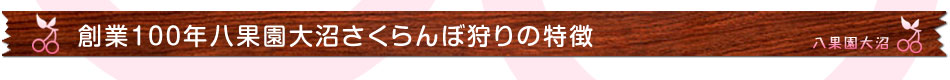 食べ放題八果園大沼