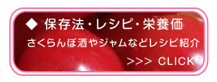 さくらんぼレシピ 保存方法