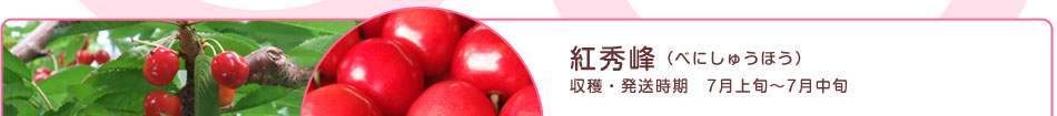 紅秀峰
