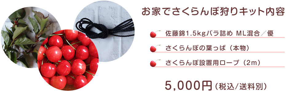 お家でさくらんぼ狩りキット内容